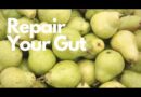 Repair your Gut with this Juice Recipe